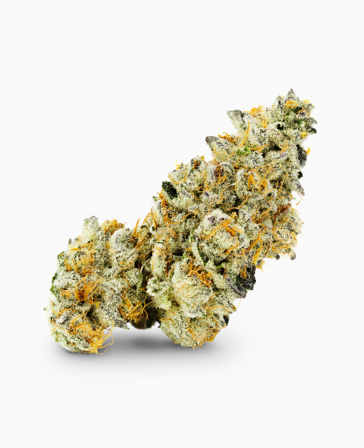 Nug of aeriz Do-Si 18