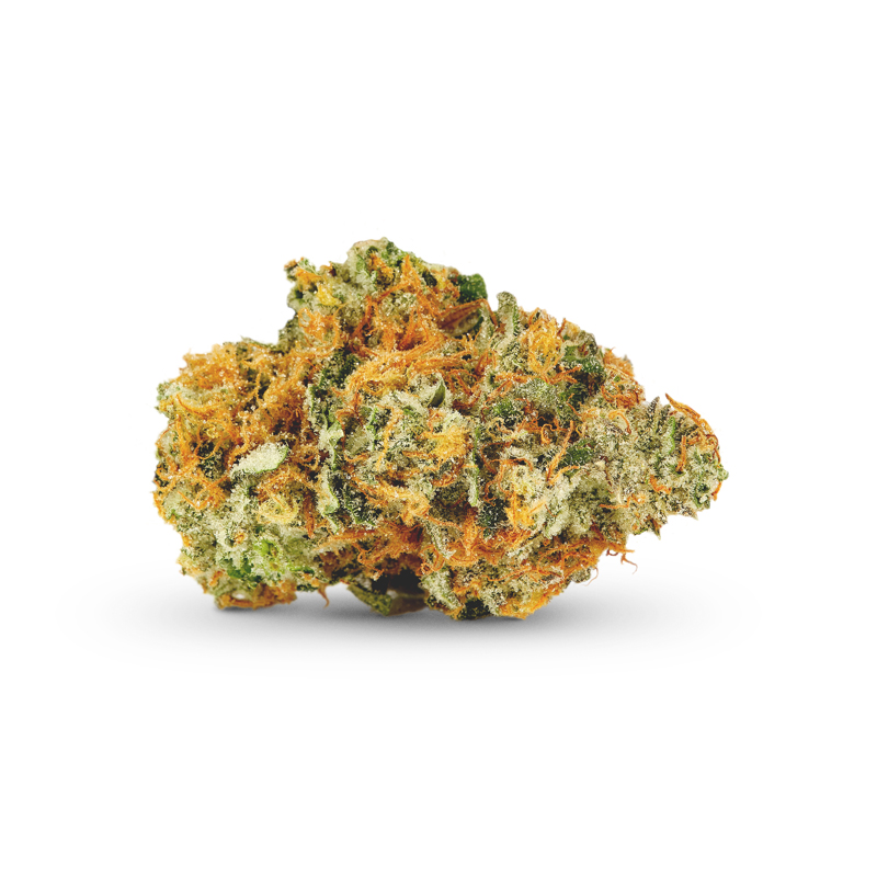 Jenny Kush flower