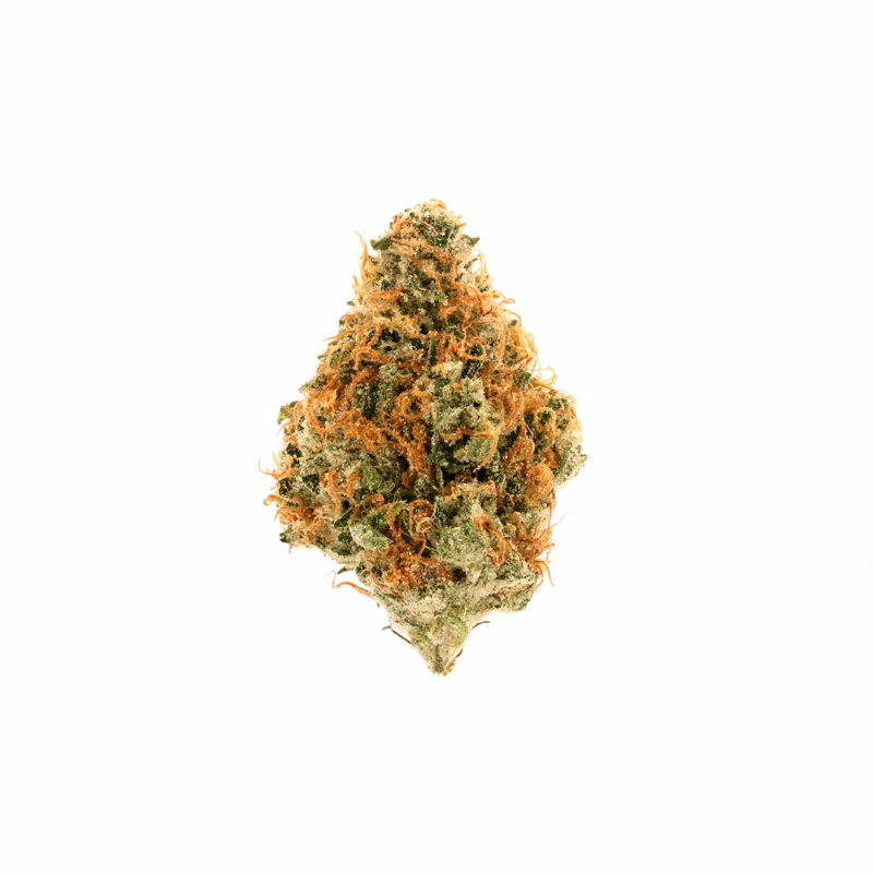 images of Jenny Kush flower