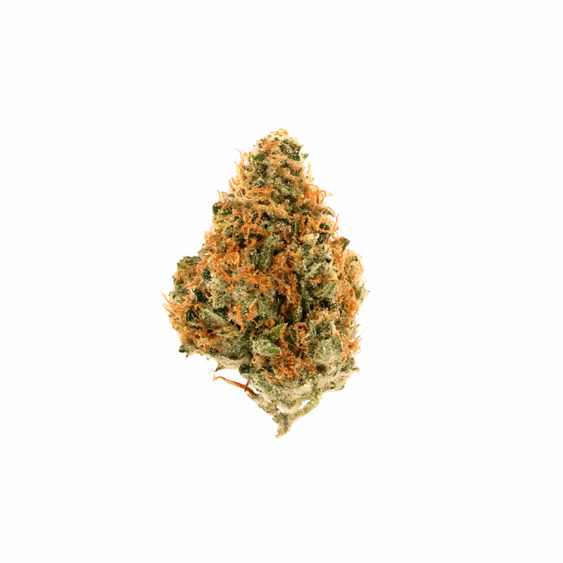 images of Jenny Kush flower