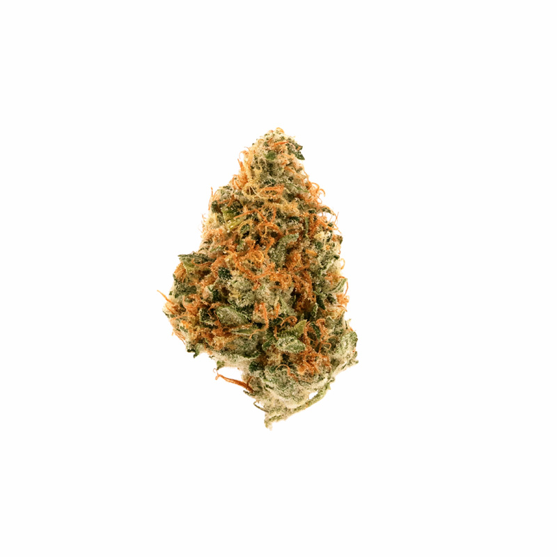 images of Jenny Kush flower