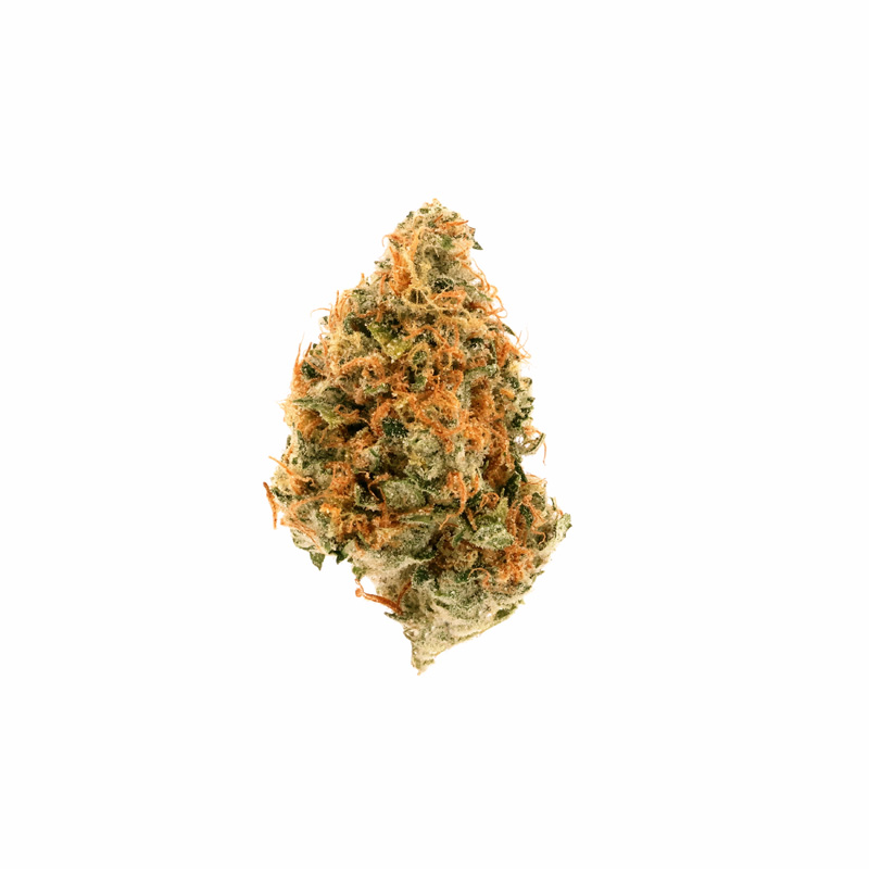 images of Jenny Kush flower