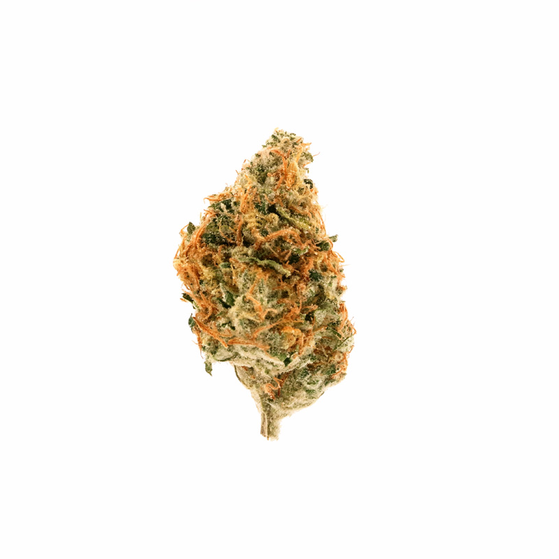 images of Jenny Kush flower