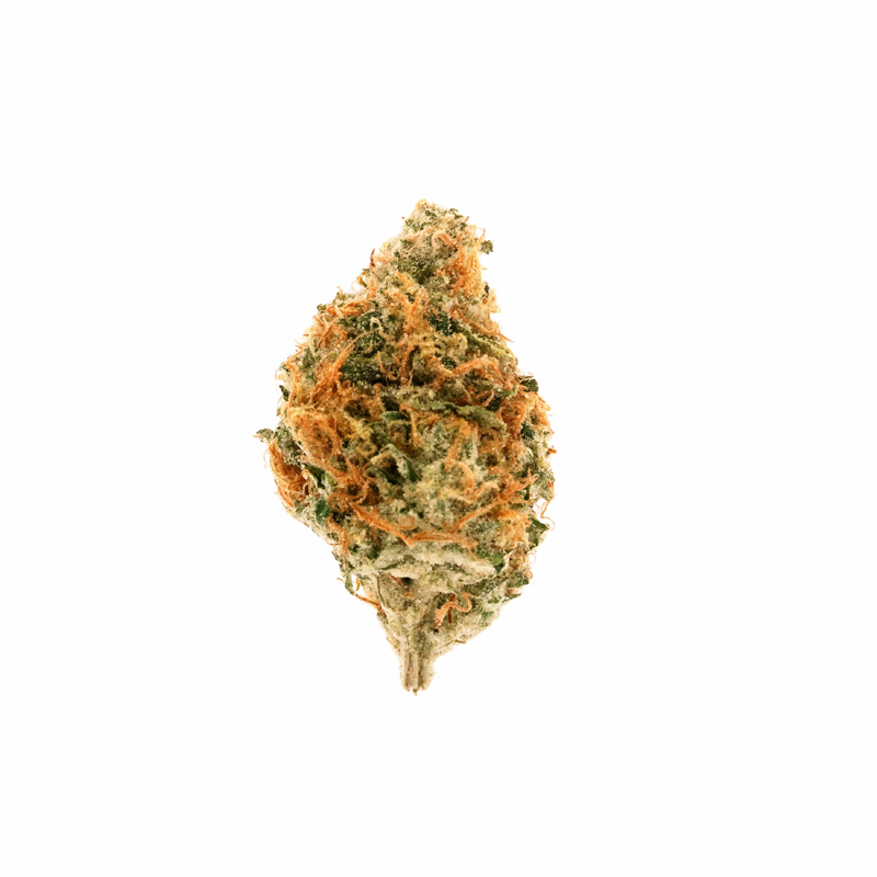 images of Jenny Kush flower