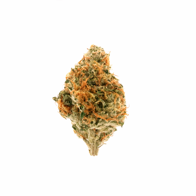 images of Jenny Kush flower