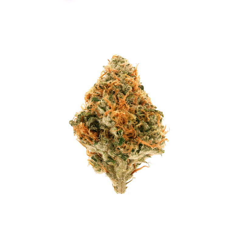 images of Jenny Kush flower