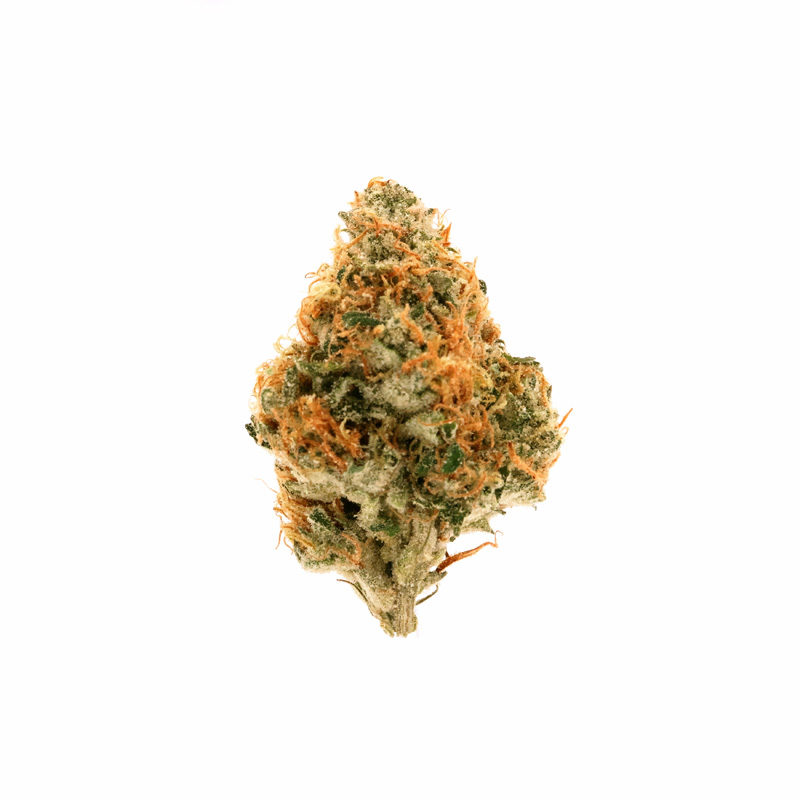 images of Jenny Kush flower