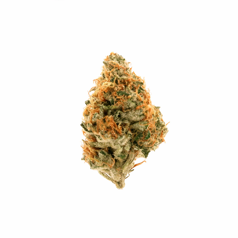 images of Jenny Kush flower