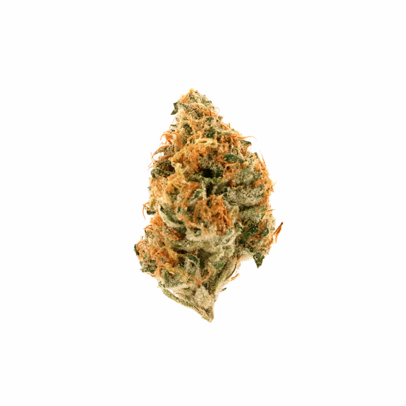 images of Jenny Kush flower