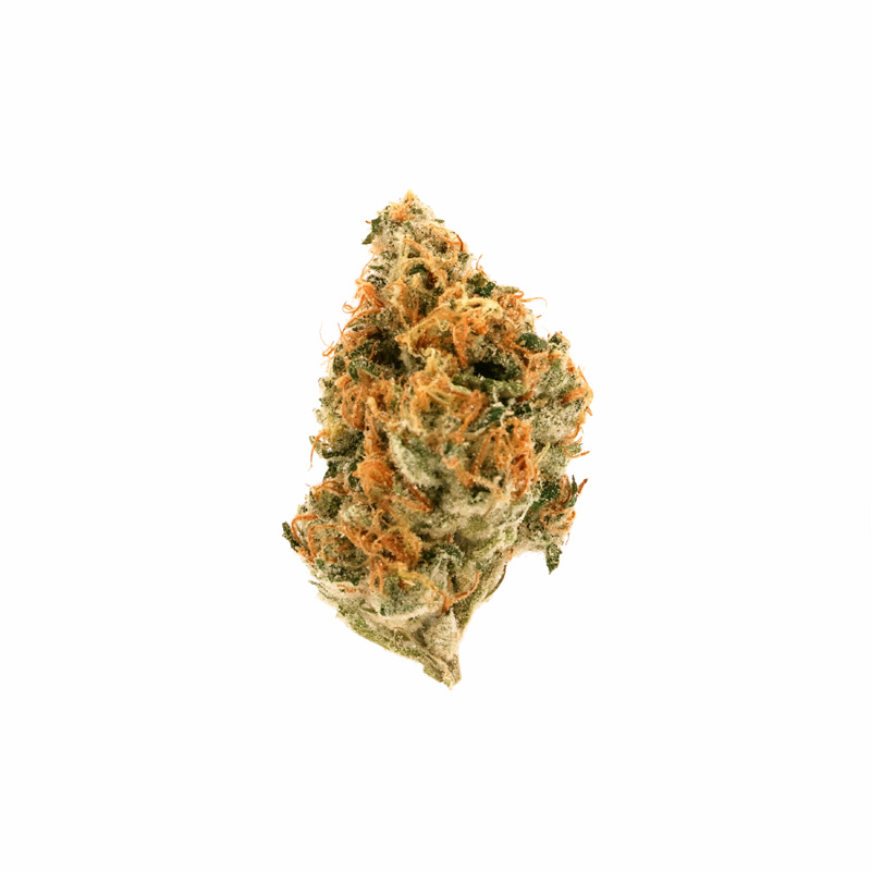 images of Jenny Kush flower