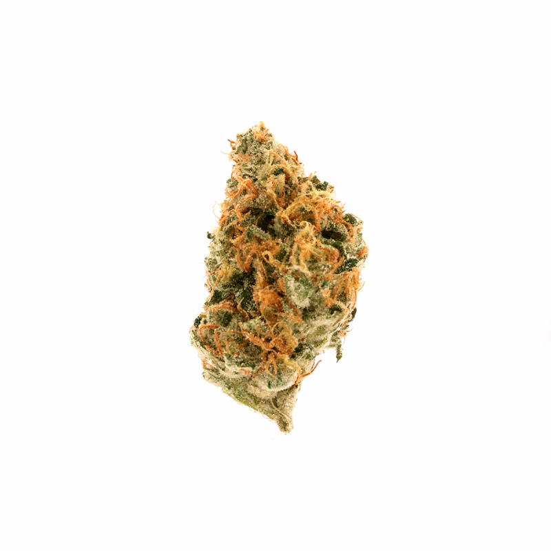 images of Jenny Kush flower