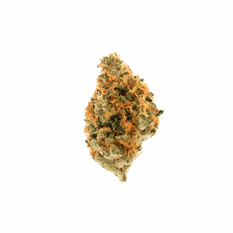 images of Jenny Kush flower