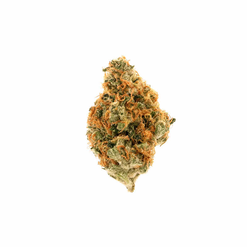 images of Jenny Kush flower