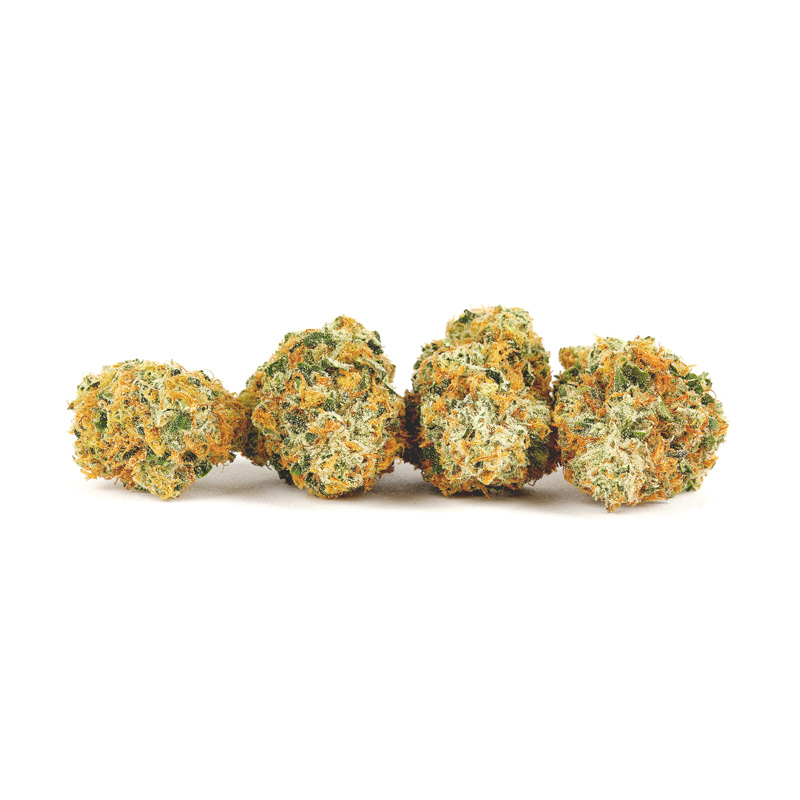 image of Jenny Kush flower