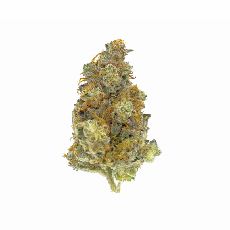 images of Gorilla Cookies flower