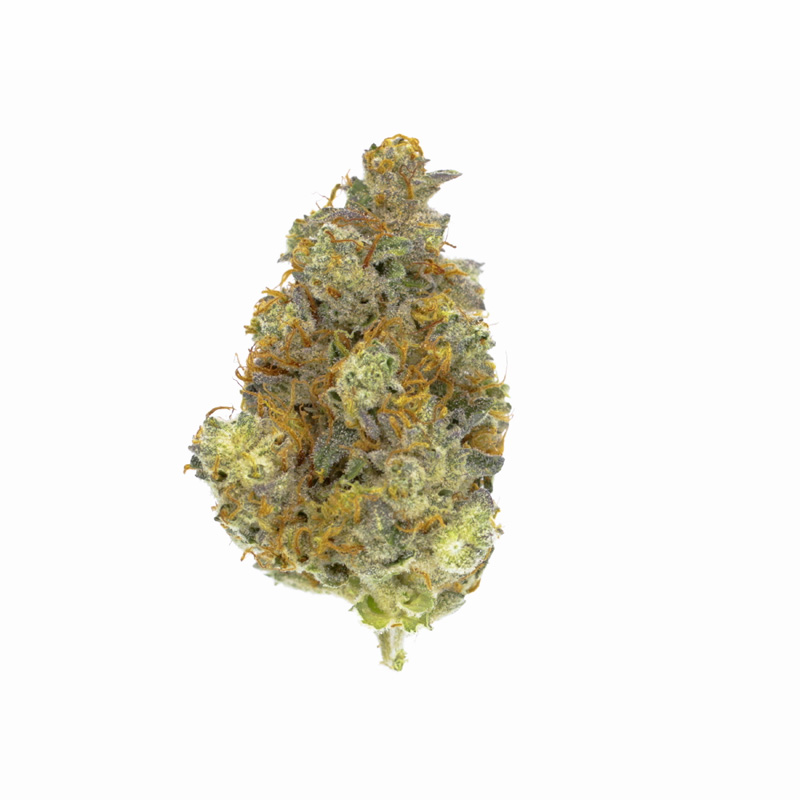 images of Gorilla Cookies flower