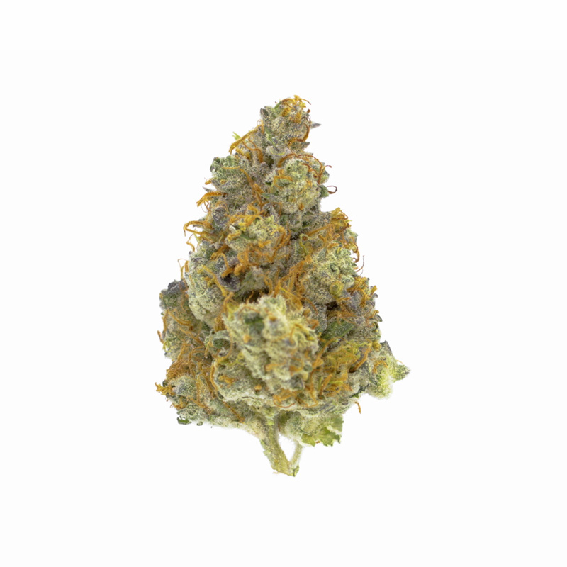 images of Gorilla Cookies flower