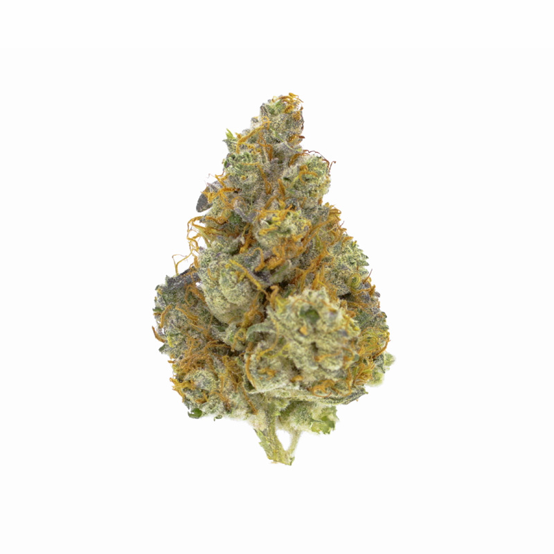 images of Gorilla Cookies flower