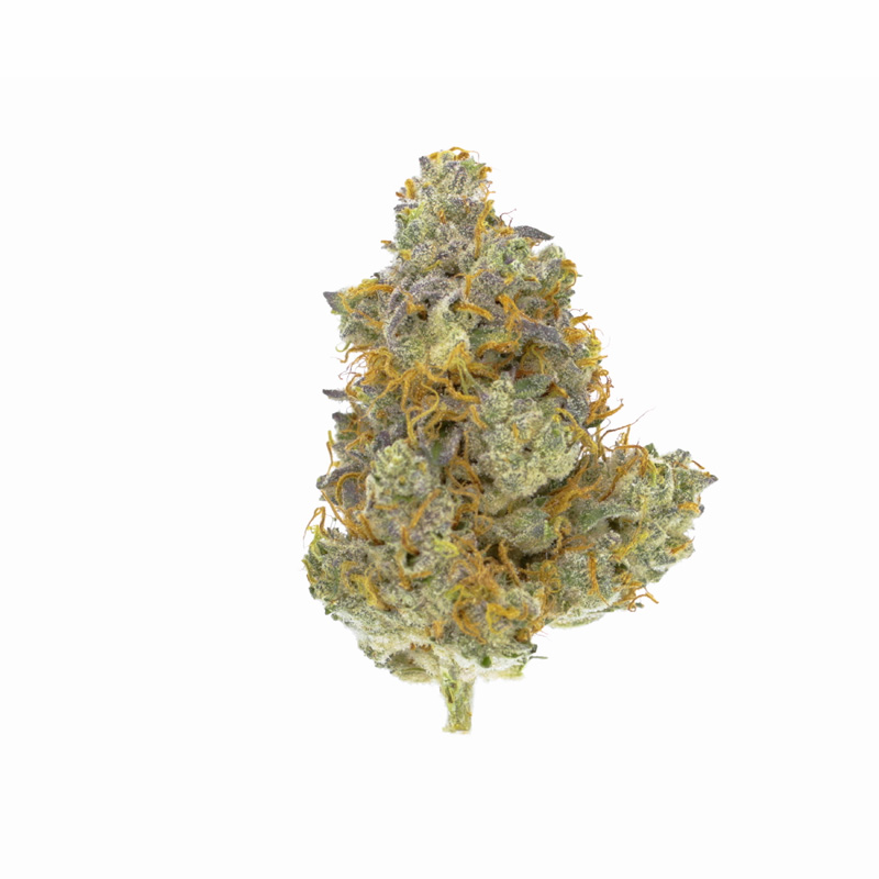images of Gorilla Cookies flower