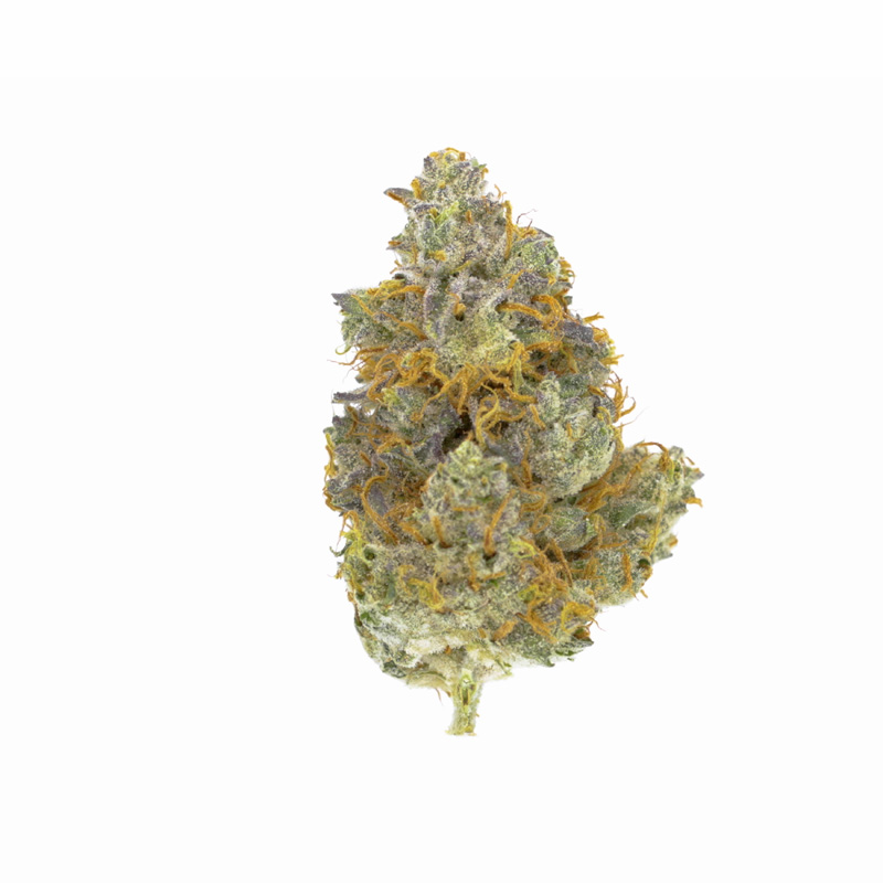 images of Gorilla Cookies flower