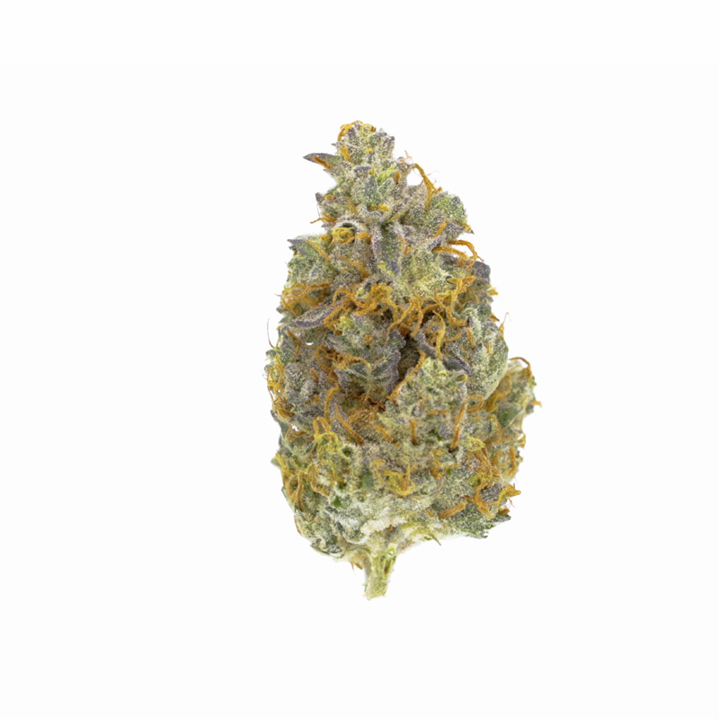 images of Gorilla Cookies flower