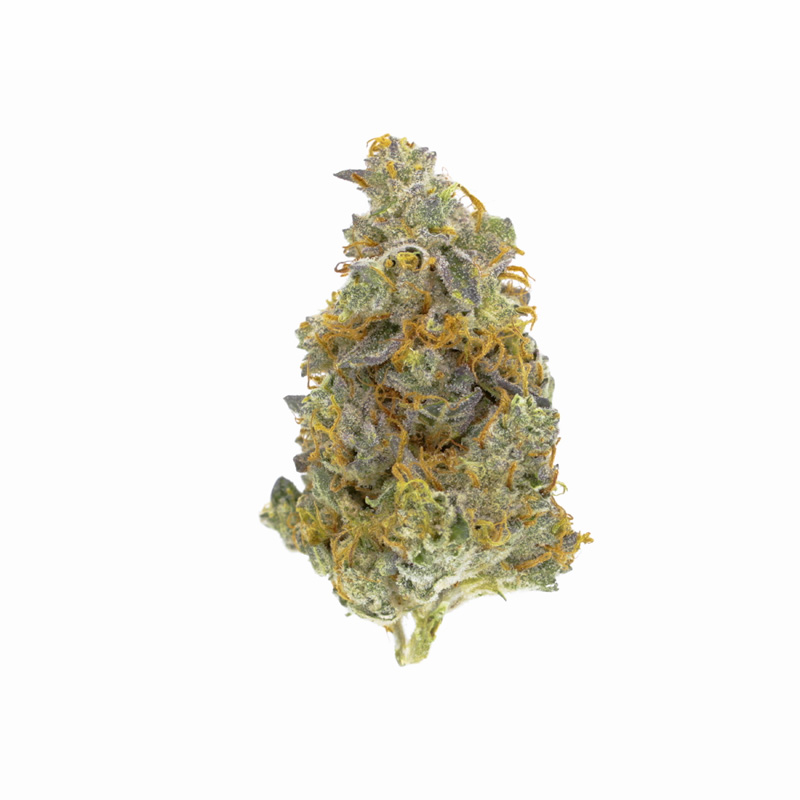 images of Gorilla Cookies flower
