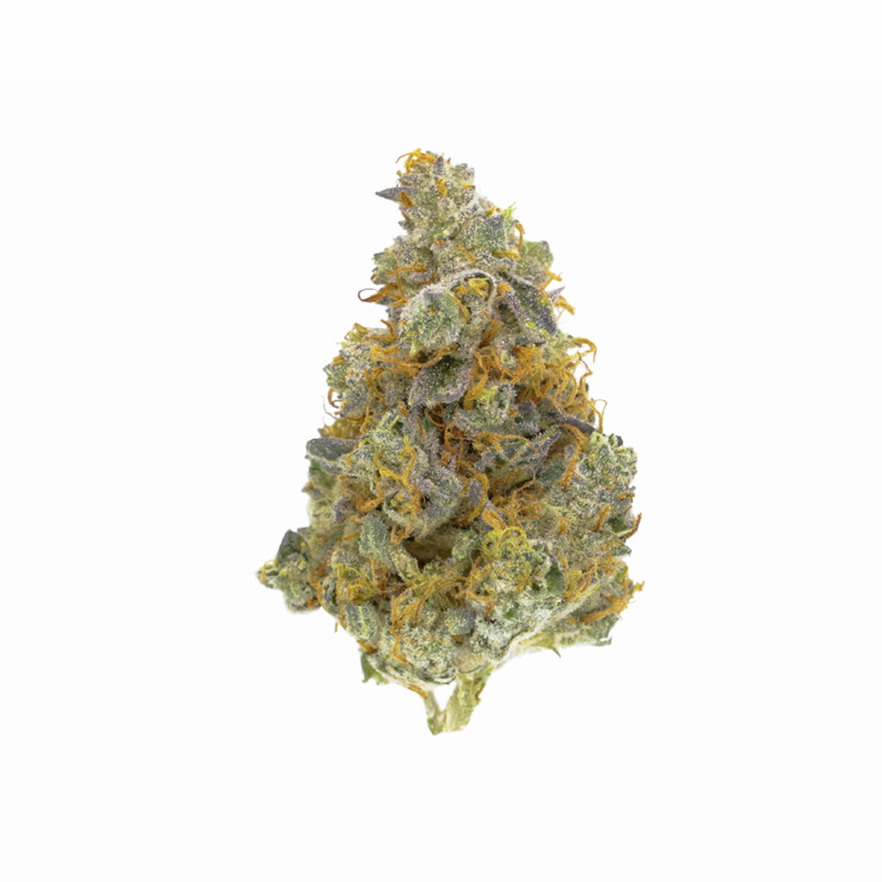 images of Gorilla Cookies flower