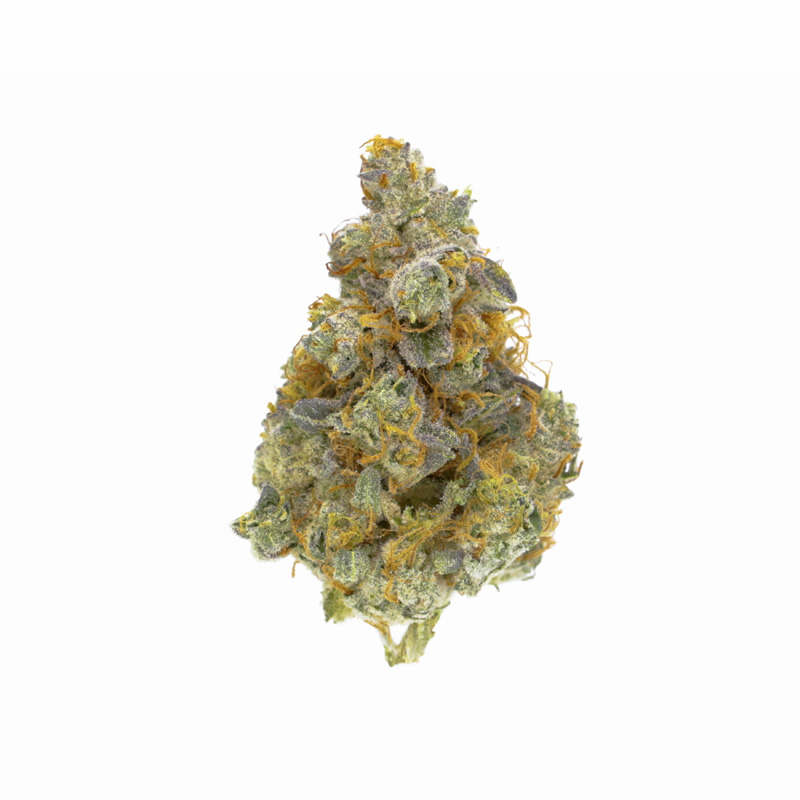 images of Gorilla Cookies flower