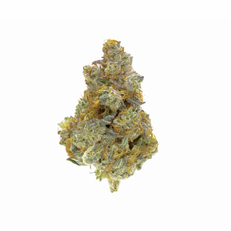 images of Gorilla Cookies flower
