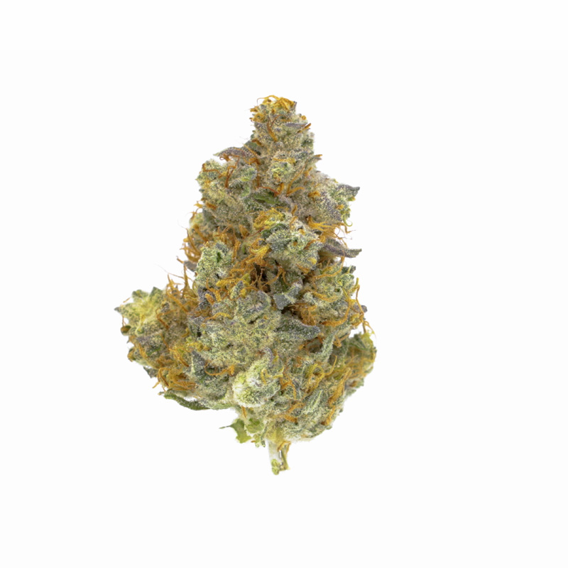 images of Gorilla Cookies flower