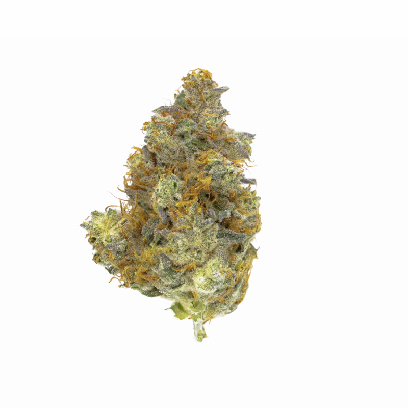 images of Gorilla Cookies flower