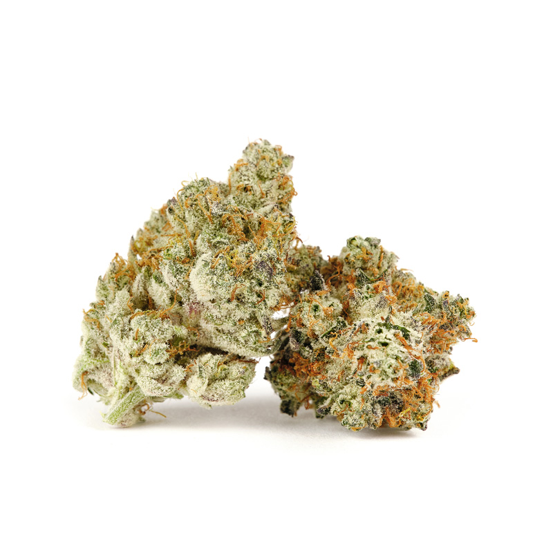 image of Gorilla Cookies flower