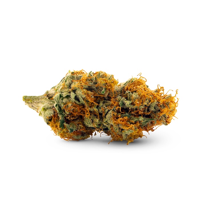 Cash Cow flower